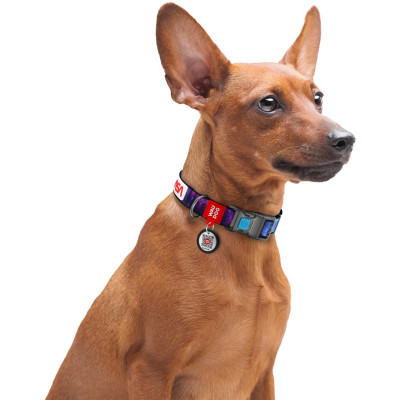 Ошейник для животных WAUDOG Nylon с QR паспортом "NASA21" пластиковый фастекс M (4502-0148) Винница - изображение 5