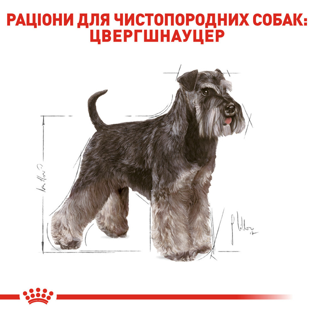 Корм для дорослих собак ROYAL CANIN SCHNAUZER ADULT 7.5 кг Київ - фото 3