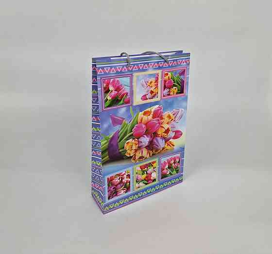 Большой бумажный пакет вертикальный  25/37/8(артBV-017) (12 шт) Харьков