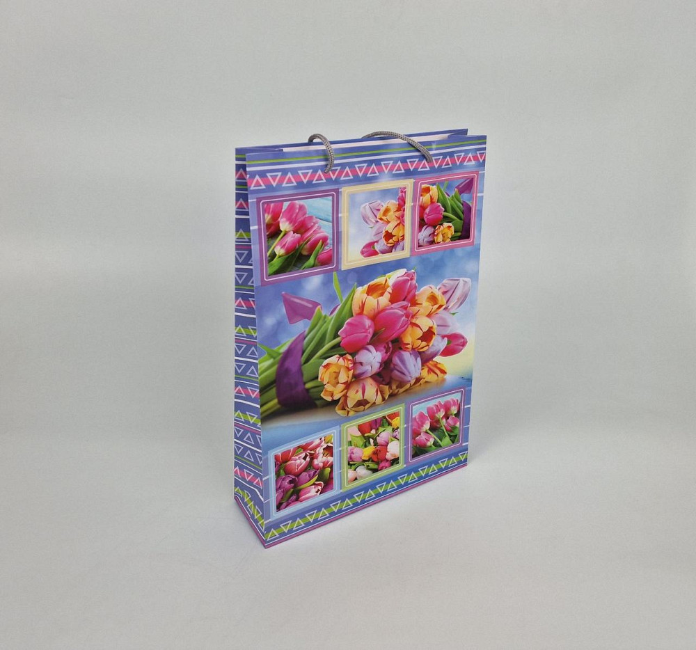 Большой бумажный пакет вертикальный  25/37/8(артBV-017) (12 шт) Харьков - изображение 1