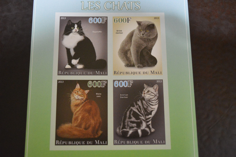 Мали. Фауна. Блок. 2014 год (А-20) Полтава - изображение 1