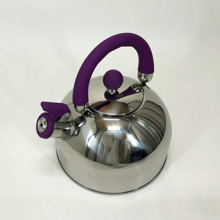 Чайник со свистком с удобной нейлоновой ручкой, Обычный чайник со свистком Хороший IG-21 Львов - изображение 8