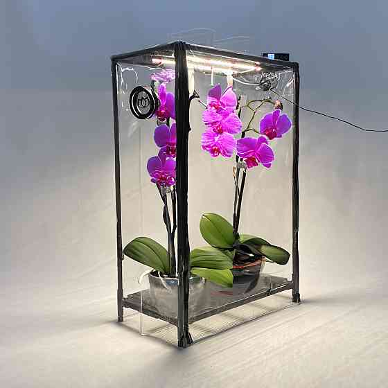 Міні-теплиця для орхідей та тропічних рослин Orchid Black - зволожувач, фітосвітло, таймер Борисполь