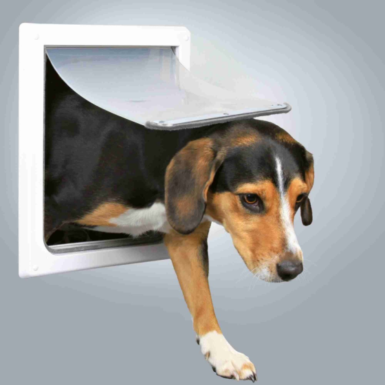 Двецята врізні для собак і котів Trixie FreeDog (Тріксі ФріДог) S-M 30x36 см Запоріжжя