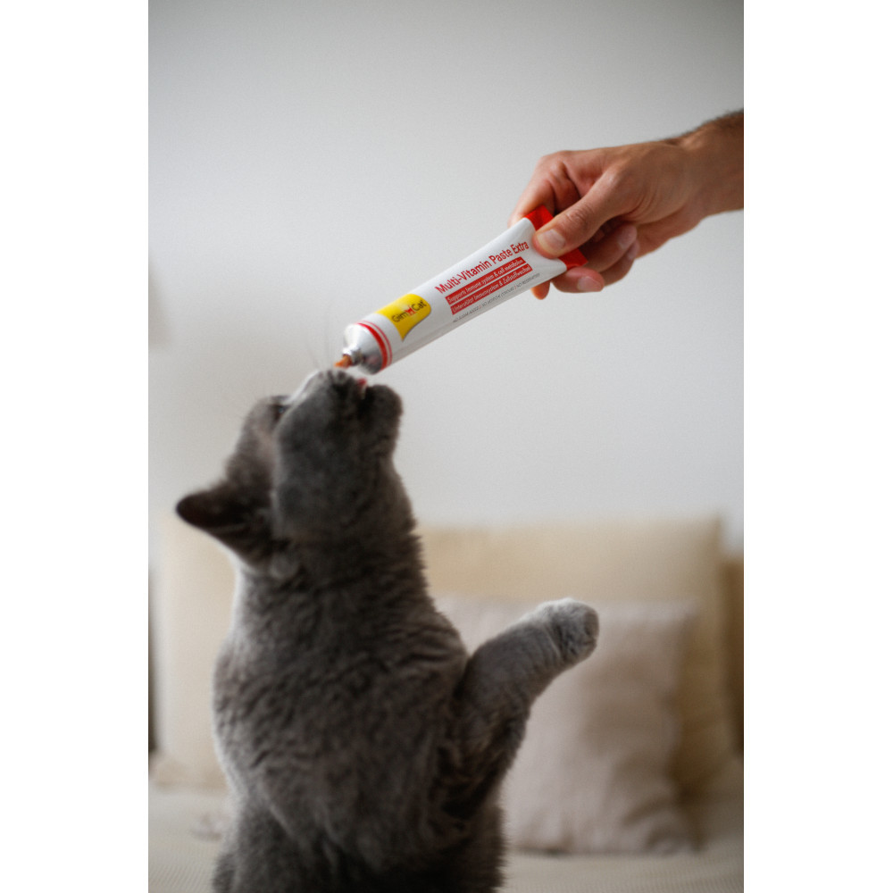 Мультивітамінна паста GimCat Every Day Extra для котів, 100 г Вінниця - фото 4