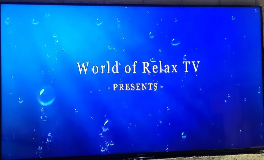 Телевізор Sony 65" Київ - фото 3