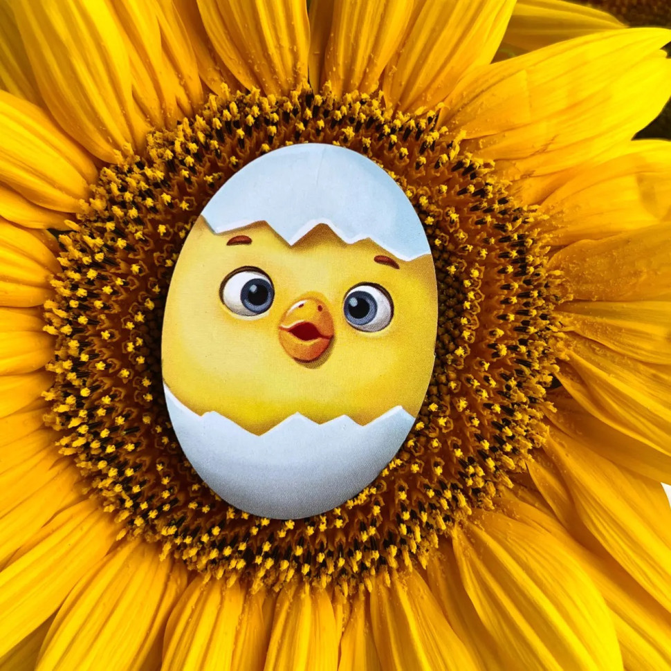 Деревянный пазл-вкладыш 