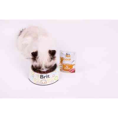 Влажный корм для кошек Brit Care Soup with Duck с уткой 75 г (8595602569182) Винница