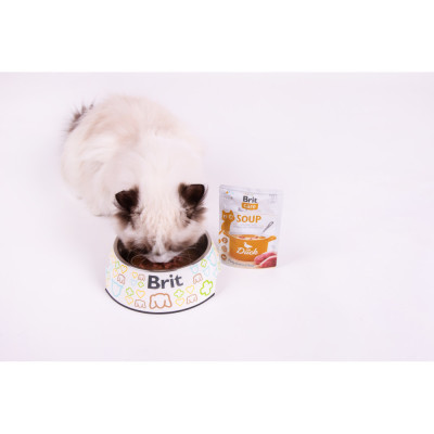 Влажный корм для кошек Brit Care Soup with Duck с уткой 75 г (8595602569182) Винница - изображение 3