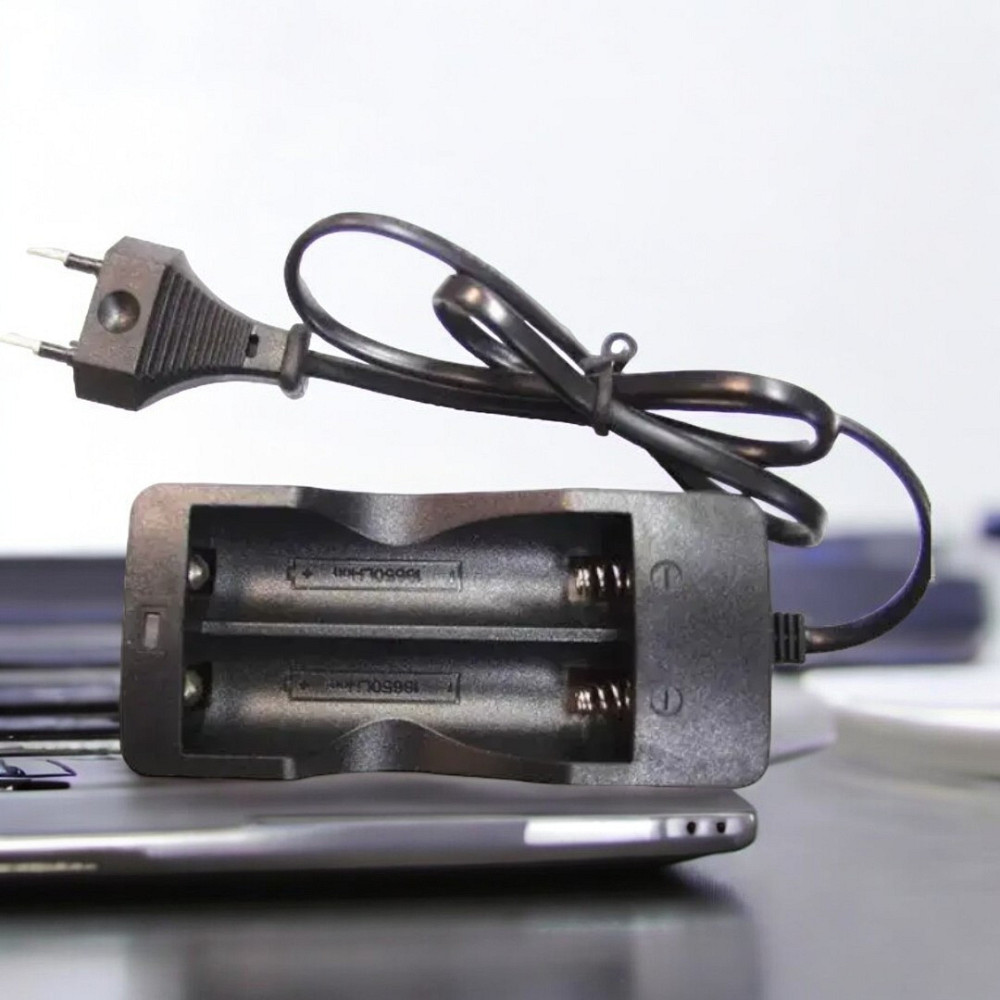 Двухканальная зарядка для литий-ионных аккумуляторов 18650, 220V 4056 Одесса - изображение 1