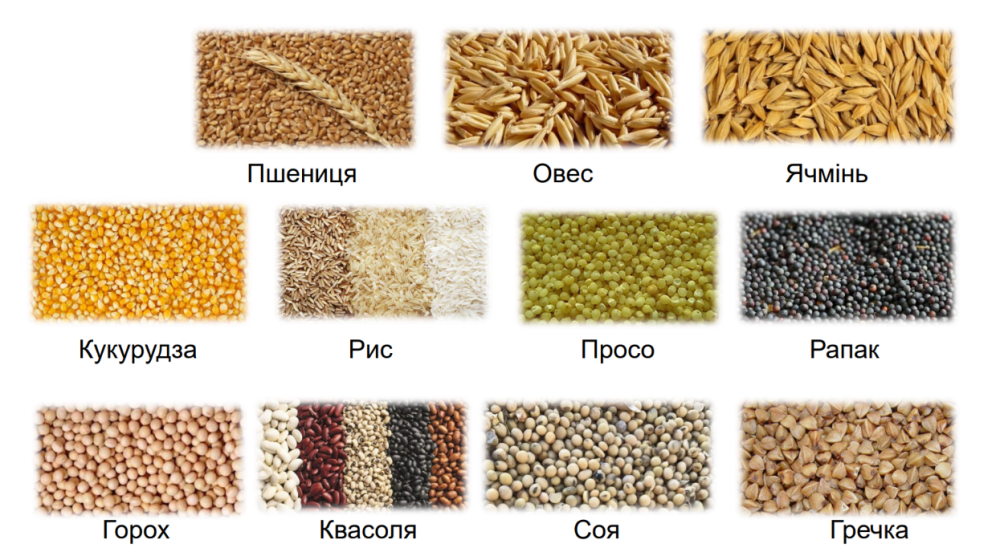 Кормоизмельчитель ДТЗ КР-30A с автоподачей Харьков - изображение 10