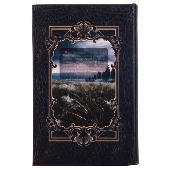 Книга сейф с замком Гетьман Богдан Хмельницкий 26 см Винница - изображение 3