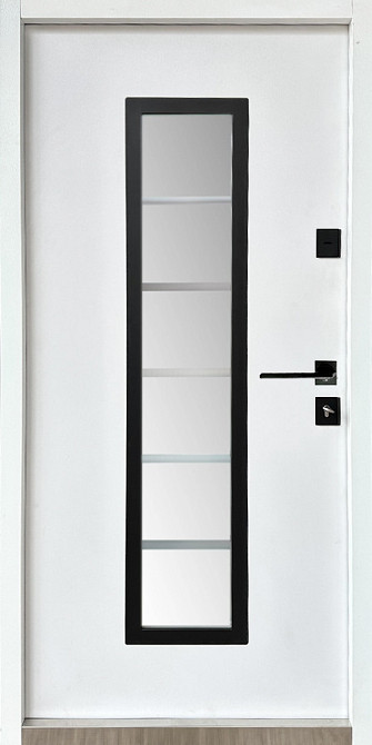 Двери уличные, серия Т-4.0.1,модель 885.1/СП 1 Металл/МДФ, Краска(R021/9003), замки SECUREMME Киев - изображение 2