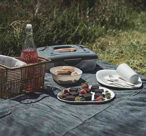 Набір посуду для пікніка Easy Camp Picnic Box M (680239) Київ