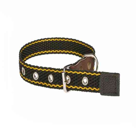 Нашийник 200 20мм "Економ" синтетика Вінниця