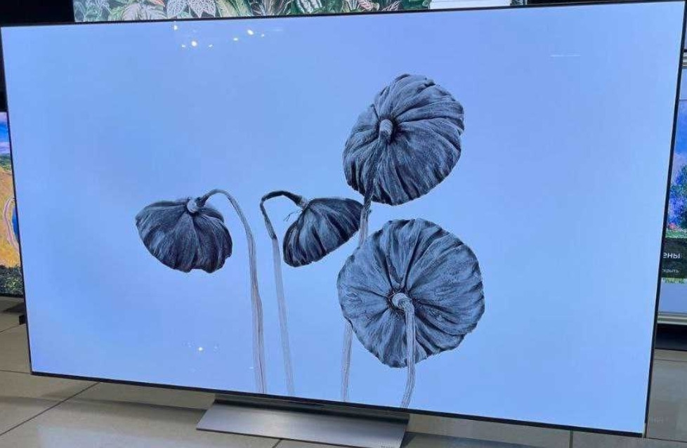 Телевизор Безрамный: 65