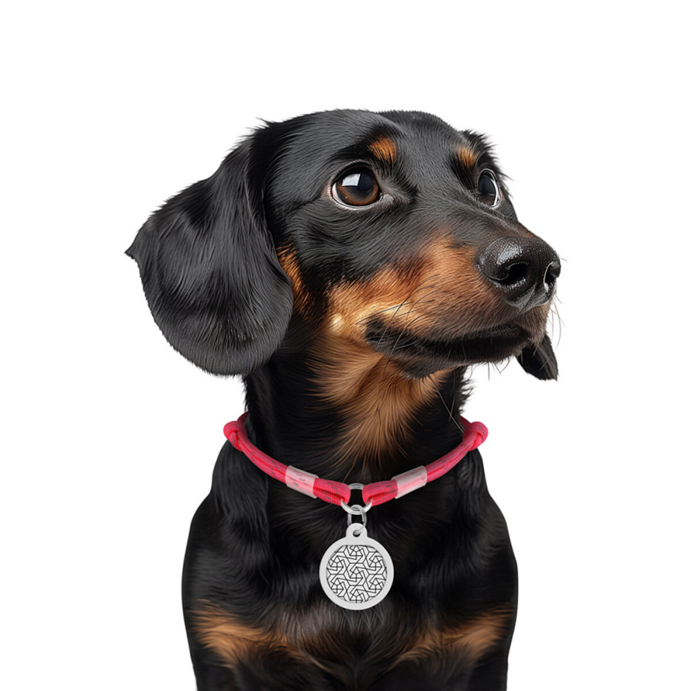 Шнурок для адресника з паракорду WAUDOG Smart ID, світловідбиваючий, розмір S, діаметр 4 мм, довжина 25-45 см рожевий Київ - фото 2