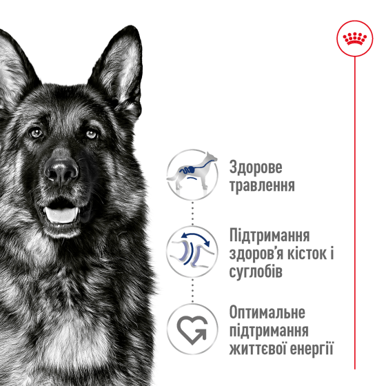 Корм для дорослих собак великих порід ROYAL CANIN MAXI ADULT 5+(віком від 5 років) 15 кг Київ