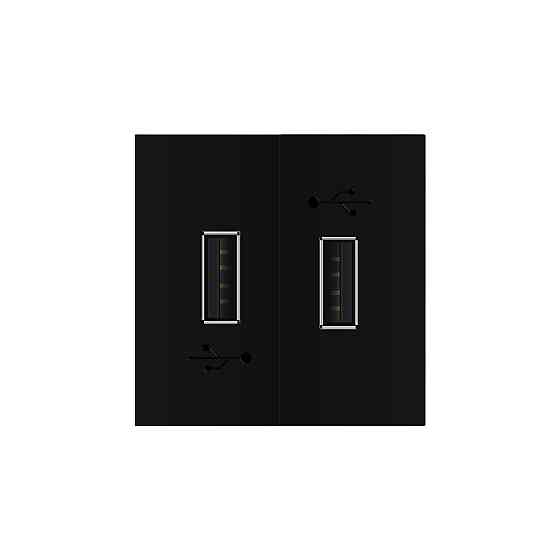 Подвійна розетка USB LIVOLO чорна, з блоком живлення 2×USB-A 5V/2.1A, 2×10Вт, модуль (VL-FCUA-2BP) Коломыя