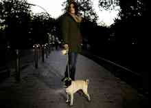 Flexi Neon S поводок-рулетка ( 5м, до 15кг, стрічка ) Вінниця