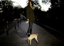 Flexi Neon S поводок-рулетка ( 5м, до 15кг, стрічка ) Вінниця - фото 2