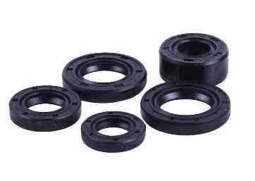 Сальники (набор) Актив (5шт) Мукачево