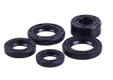 Сальники (набор) Актив (5шт) Мукачево - изображение 1