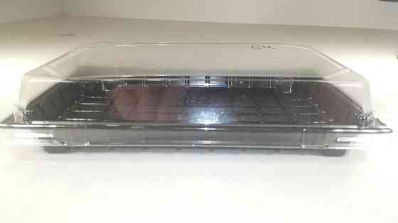 Упаковка для суші з кришкою ПС-64Д 20,5*13,5 см 50 шт/уп. Харків