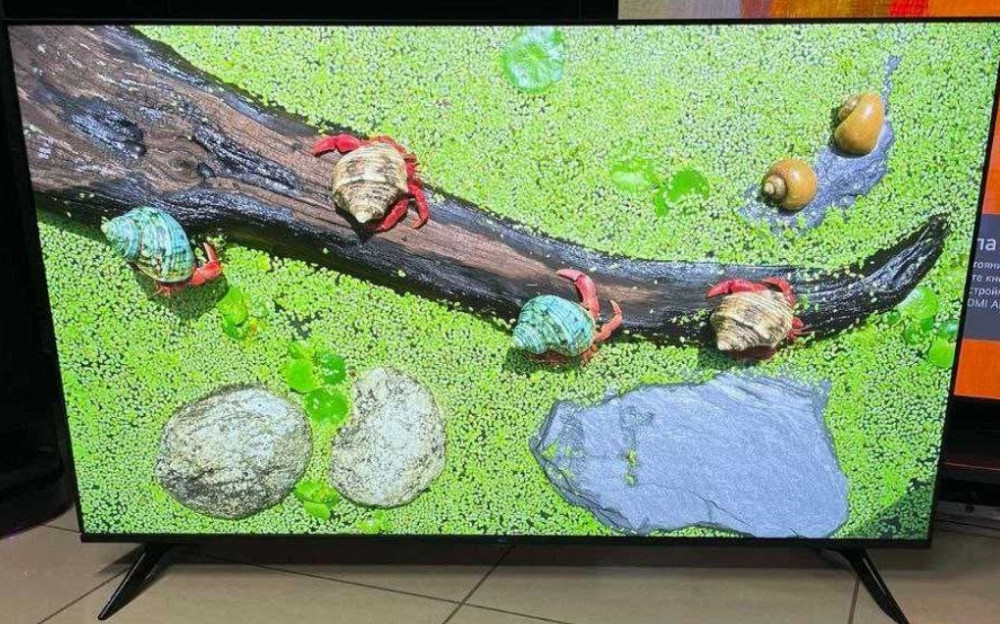 Телевизор Безрамный: 65