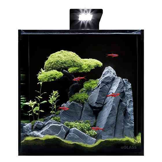 Акваріумний набір BlackCube 30 літрів, з чорною задньою стінкою, 31х31х31 см, скло 4 мм Київ