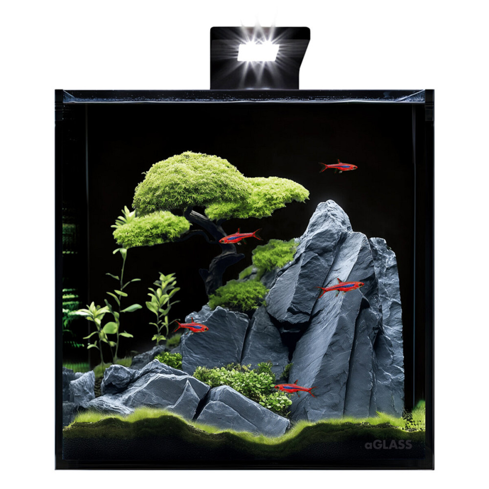 Аквариумный набор BlackCube 30 литров, с черной задней стенкой, 31х31х31 см, стекло 4 мм. Киев - изображение 1
