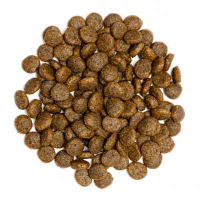 Сухий корм для кішок Profine Cat Original Adult з куркою і рисом 300 г (8595602517695) Вінниця