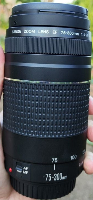 Об'єктив: Canon 75-300 1:4-5.6 III. Харків - фото 4