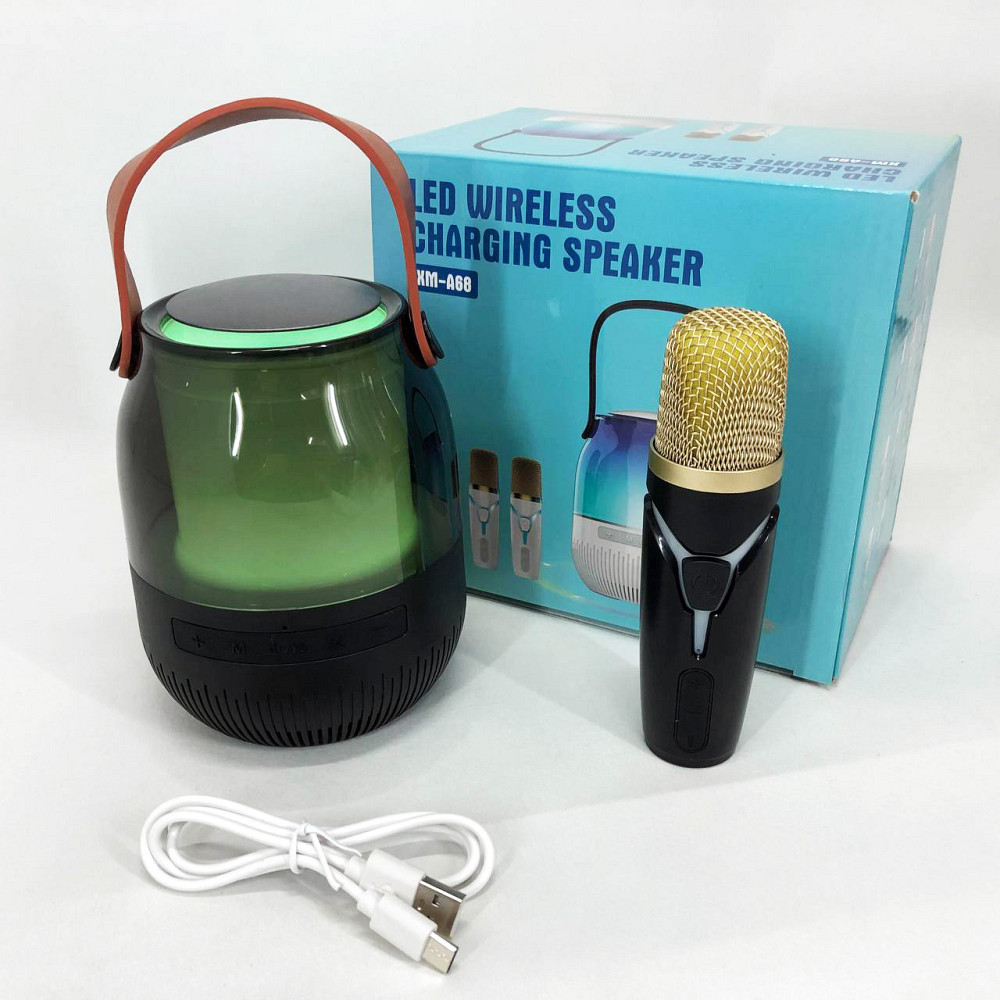 Караоке-мікрофон з блютуз краще, Bluetooth караоке мікрофон, Караоке домашнє дитяче WN-94 Львів - фото 2