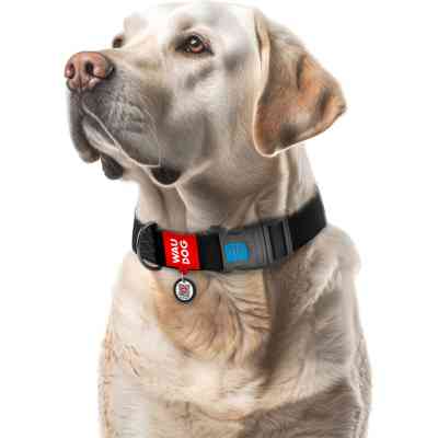 Ошейник для животных WAUDOG Waterproof с QR паспортом пластиковый фастекс XXL черный (25111) Винница