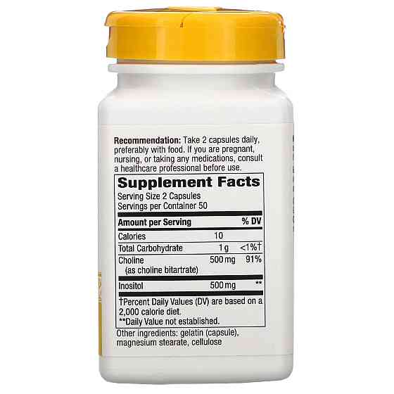 Холін та Інозитол (Choline and Inositol) 500 мг/500 мг 100 капсул Київ