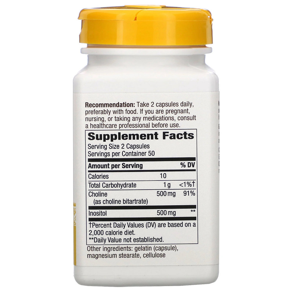 Холин и Инозитол (Choline and Inositol) 500 мг/500 мг 100 капсул Київ - фото 2