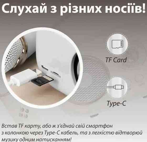 Колонка з мікрофоном PlatinumC-20 BT/TF/USB/FM Киев