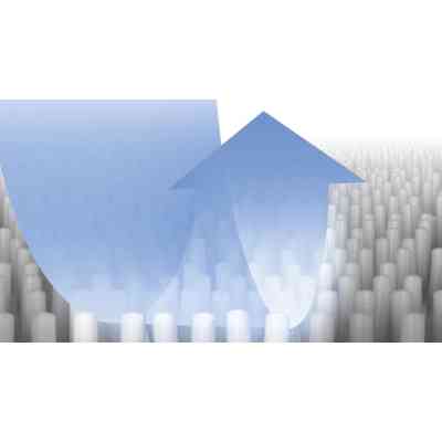 Миючий засіб для пилососа Bosch BBZWDSET Вінниця