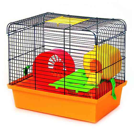 Декоративна клітка Хом'як 1 Люкс для гризунів з барабаном, тунелем та поличками (33 х 23 х 29 см), Лорі Київ