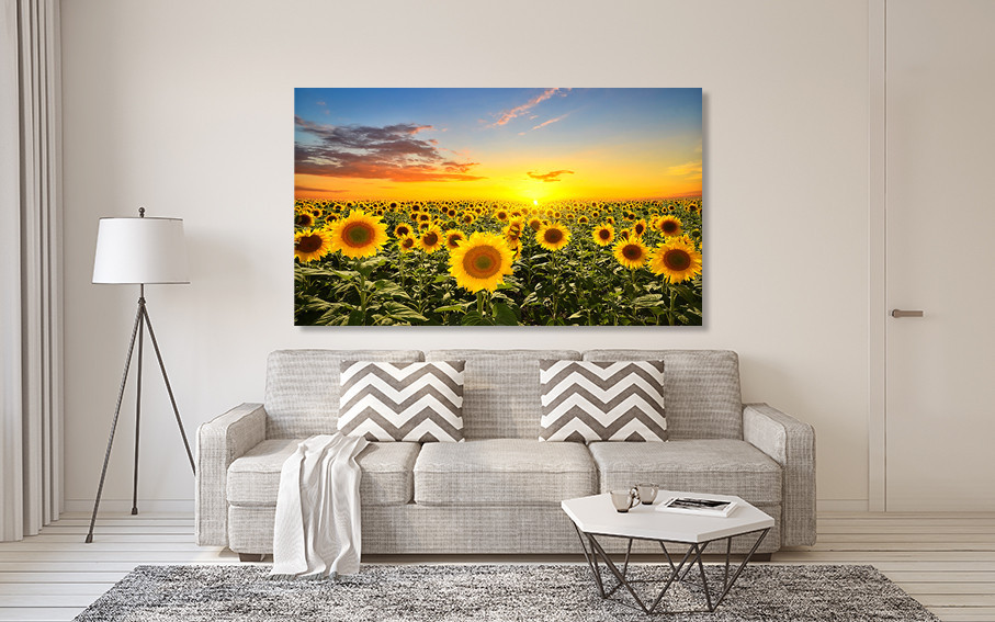 Картина холст в гостиную / спальню   Соняшник      MLP_139 80x120 см Киев - изображение 2