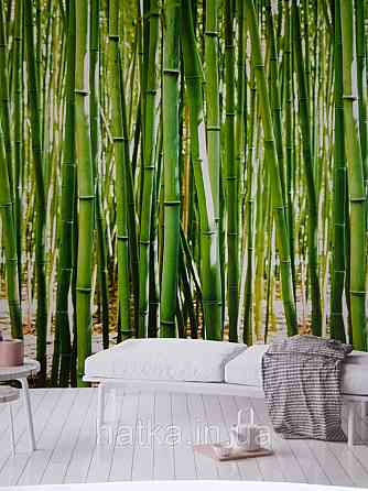 Шпалери вінілові Grandeco One roll one motif 2 A36901 панно мурал 3д бамбуковий ліс зелений салатовий Київ