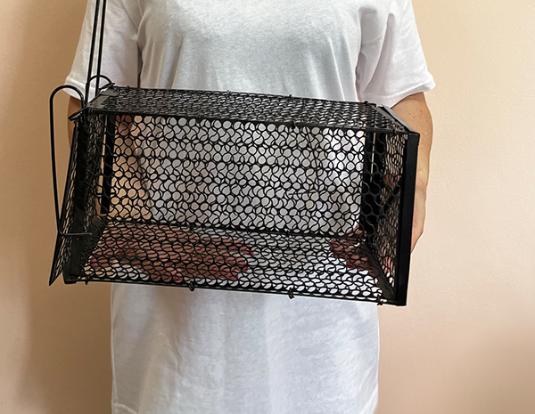 Крысоловка-клетка металлическая большая Днепр - изображение 6