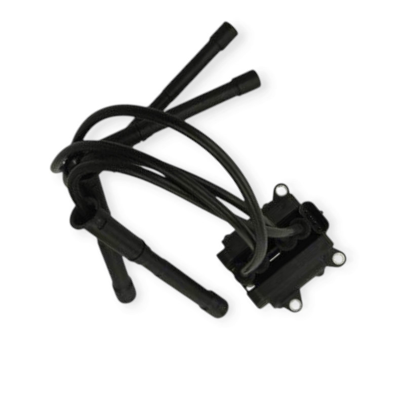 Катушка Рено Kangoo, Clio 1.2 01- зажигания Мукачево - изображение 1