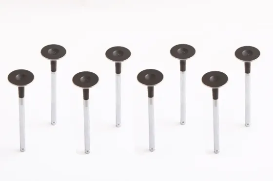 Клапана Aveo 1.6 Shin Han выпускные (Lacetti) (8 шт.) Винница