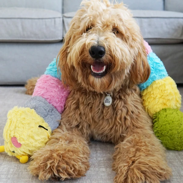 Іграшка для собак Patchwork Pet Caterpillar (Печворк Пет Гусениця) Запоріжжя - фото 4