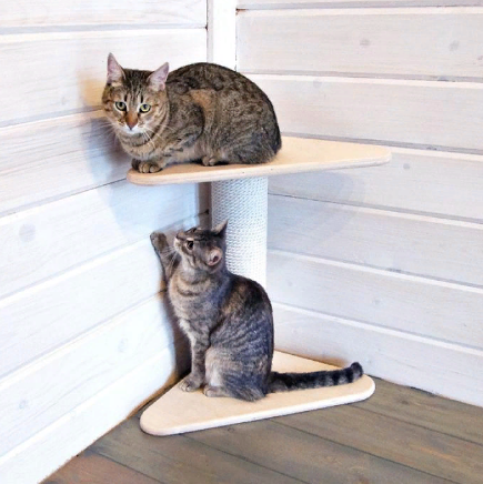 Когтеточка "Сорава" бланже Миколаїв - фото 1