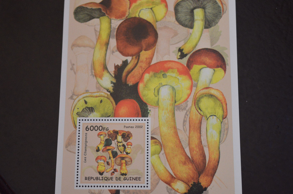 Флора. Гвинея. Блок. 2015 год (В-7) Полтава - изображение 1