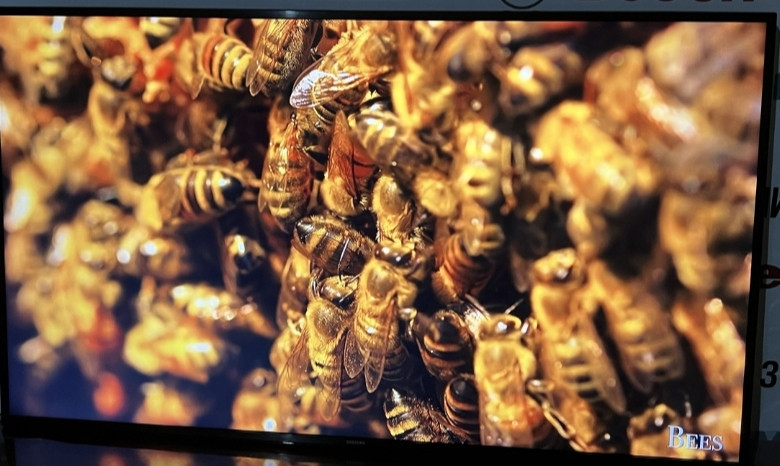 Телевизор Samsung 65