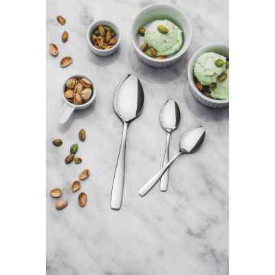 Столовая ложка Tramontina Amazonas 1 шт (63960/010) Винница